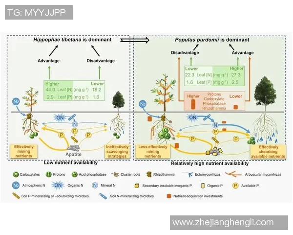 南京排球队耐力表现数据分析揭示训练效果与比赛策略的关系 南京排球队耐力表现数据分析揭示训练效果与比赛策略的关系