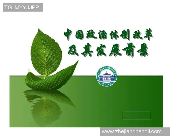 选举制度改革与民主政治发展的互动关系探讨及其对国家治理的影响分析